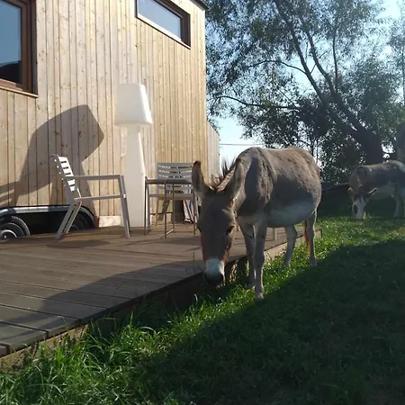 Tiny House - Wolne Emocje Farmház *